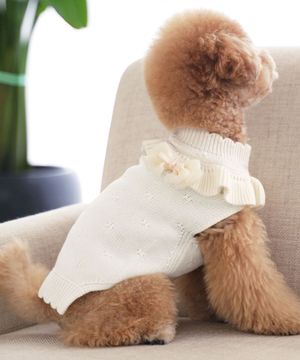 강아지 앨리 프릴 니트 스웨터 크림