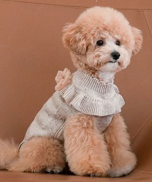 강아지 앨리 프릴 니트 스웨터 메란지