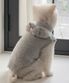 강아지 앨리 프릴 니트 스웨터 그레이