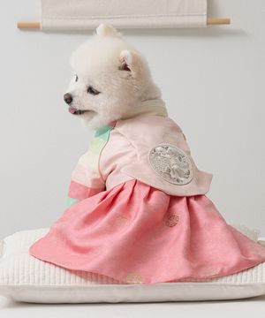 강아지 향균 색동당의 한복 분홍빛