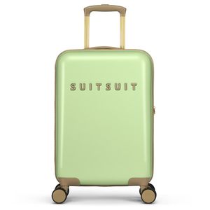 퓨전 버터플라이 그린 20인치 기내용 캐리어 (TR-65065)