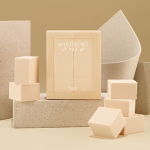 아티스트 하이드로 스펀지 6P