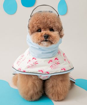 바잇미X포코리 프렌즈 하네스 레인코트 강아지 우비(3 colors)