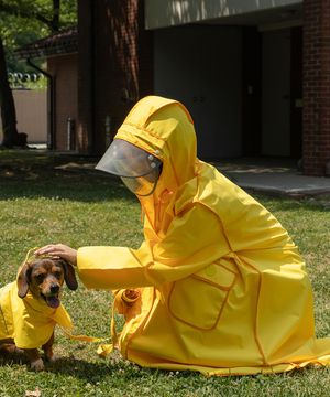 어반 레인코트 옐로우