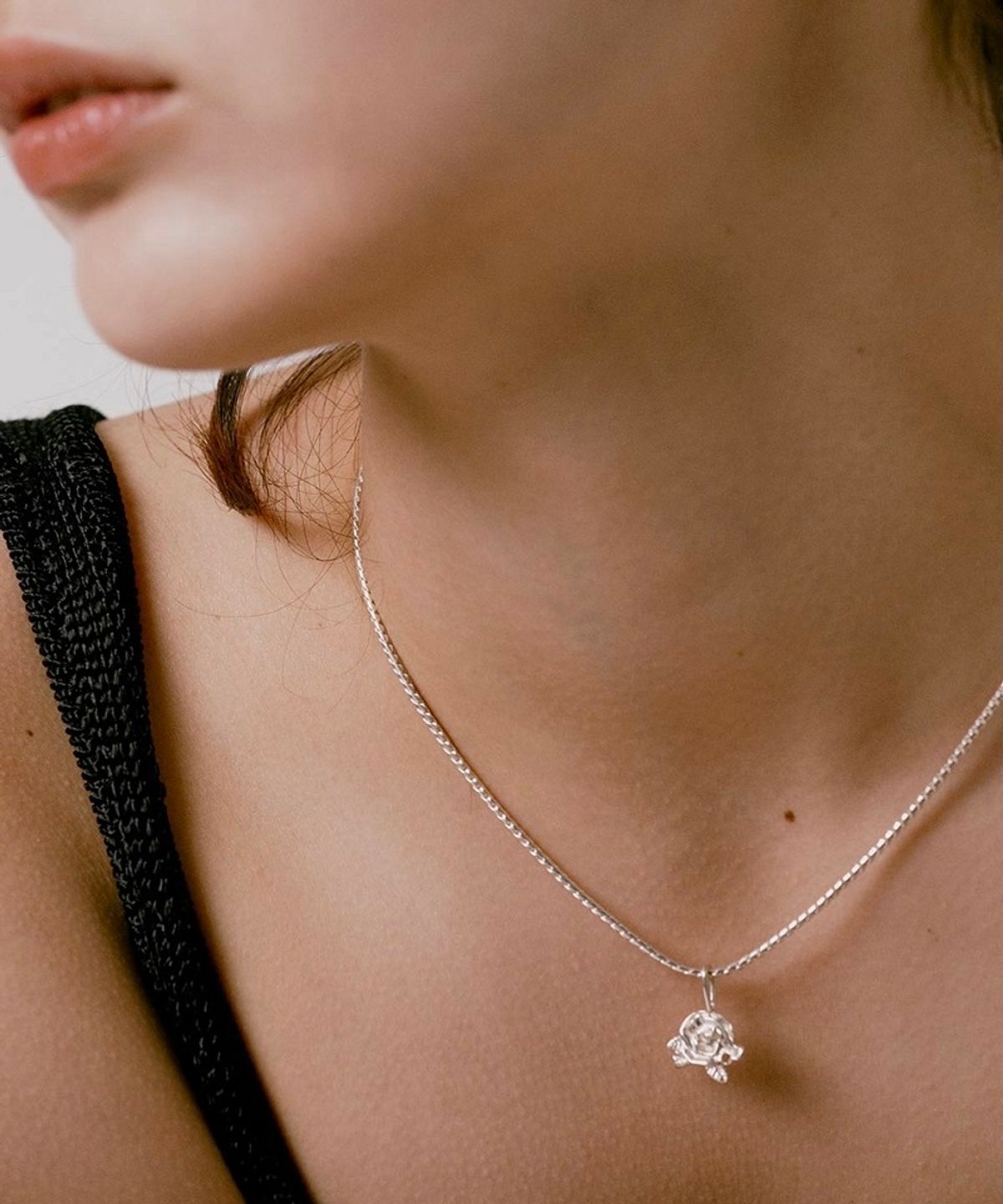 누아보(NUAVO) White rose snake