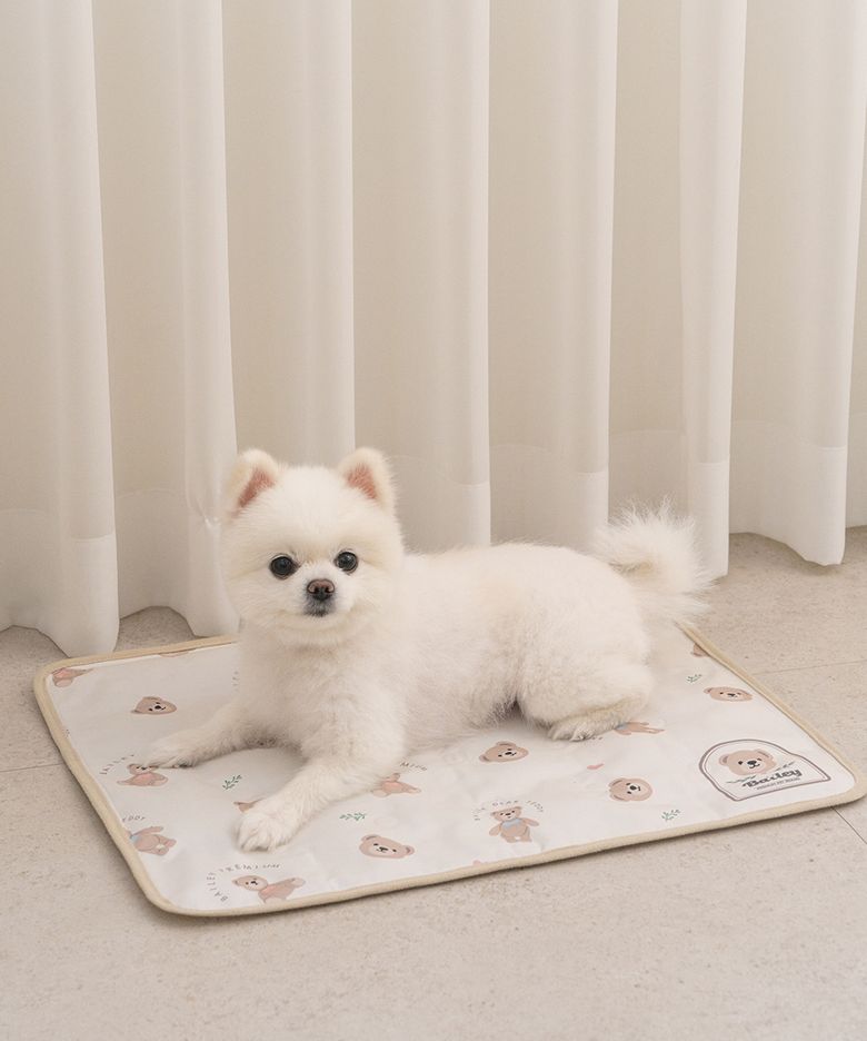 강아지 양면 젤 아이스 쿨매트