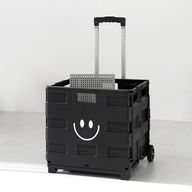 Thumbnail 0