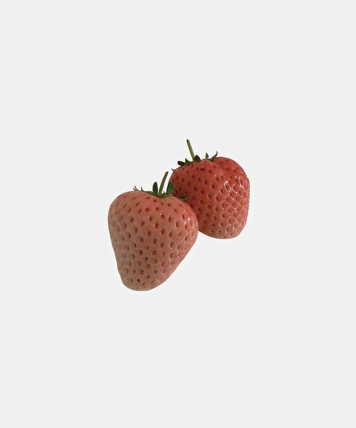 소유템(SOUTEM) Fruit Acrylic Tok