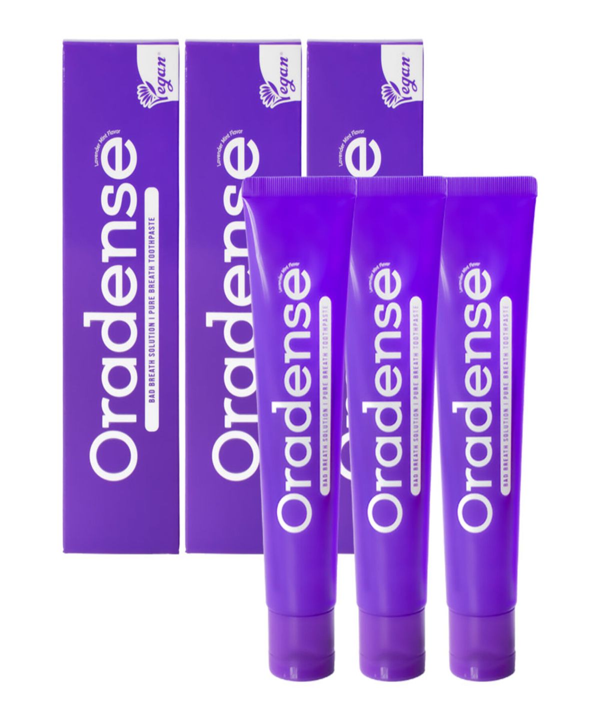 오라덴스(ORADENSE) 퓨어브레스 구취케어 치약 100g, 3개입