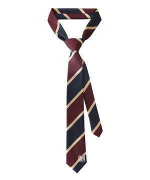 [3010] 스쿨드 스트라이프 몰드 타이