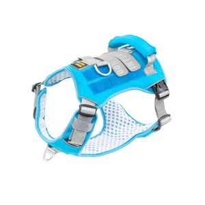 인터라켄 에어쿨링 강아지 하네스