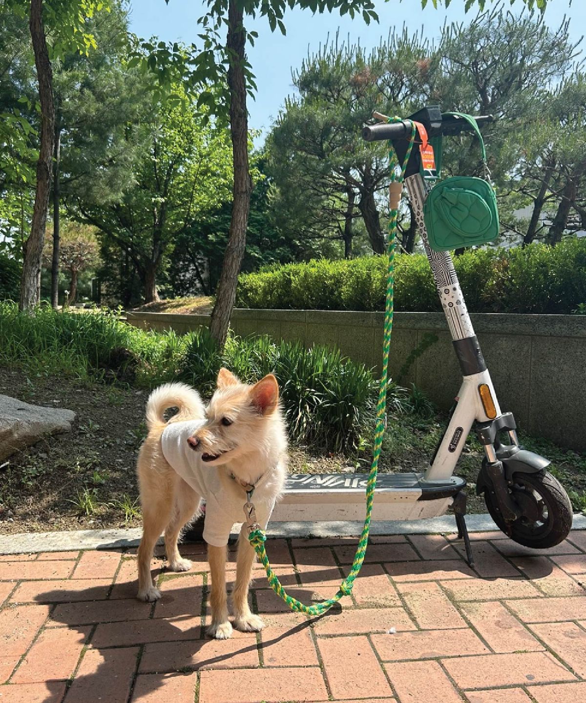 헤이쥬드(HEYJUD) JUD Double Leash Set 쥬드 더블 리드줄 세트 (Soul Green)