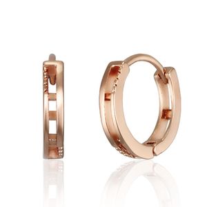 14K 투라인 링 귀걸이(gold plated) ELGPEE516