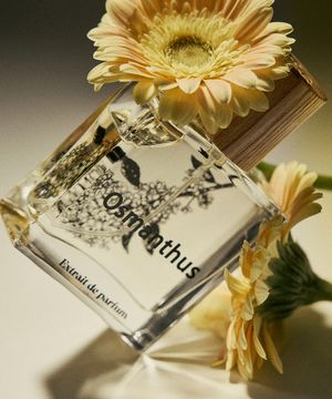 오스만투스 엑스트레 드 퍼퓸 50mL + 미니어처 증정 [금목서 & 복숭아향]