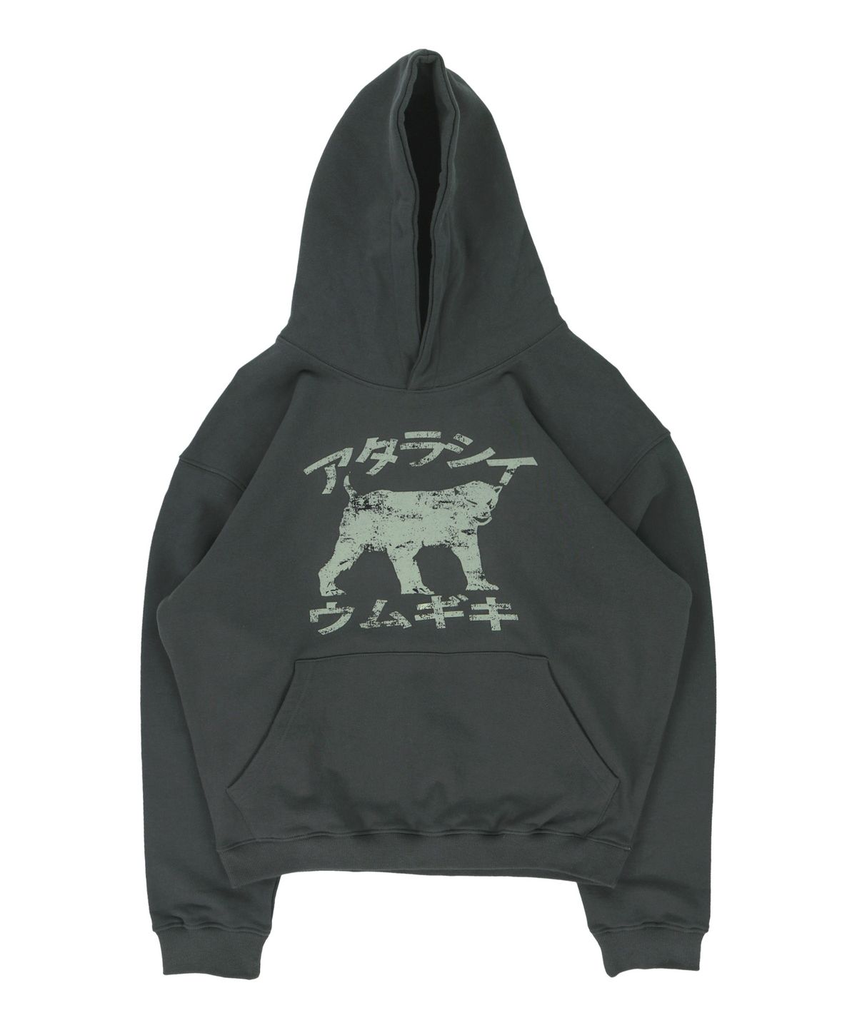 더콜디스트모먼트(THE COLDEST MOMENT) TCM move hoodie (charcoal)