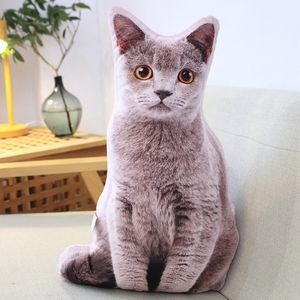 바디필로우 고양이 애착 인형 쿠션 3color