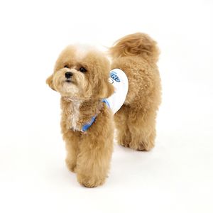 [키니키니X어프어프]SWAG CHICHI CROP TOP-BLUE(크롭탑)