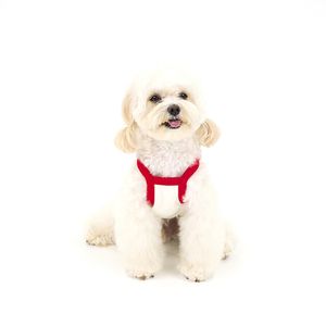 [키니키니X어프어프]SWAG COVY CROP TOP-RED(크롭탑)