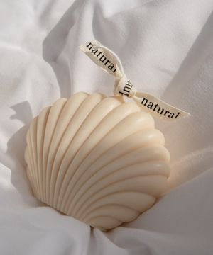 오브제 조개캔들 향초 4colors