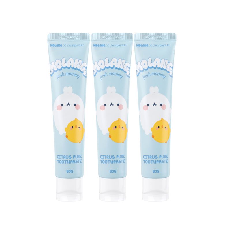 몰랑이X덴띠끄 시트러스퓨어 치약 80g 3개