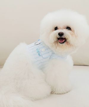 Love, Walk 포켓 하네스 - 파우더 블루