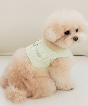 Love, Walk 포켓 하네스 - 애플 그린