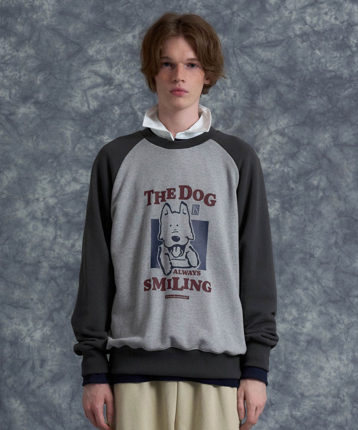 캑터스도넛마켓(CACTUSDONUTMARKET) Smiling Dog Raglan Sweatshirt - Gray