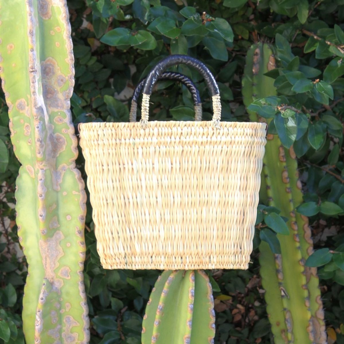 메종드알로하(MAISONDEALOHA) (6color) Vase Tote Bag 베이스토트백