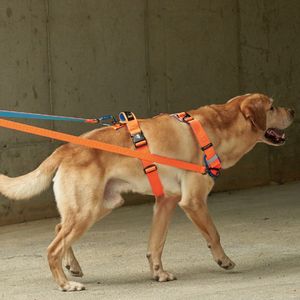 인터라켄 어스텍 D200 듀얼 강아지 리드줄