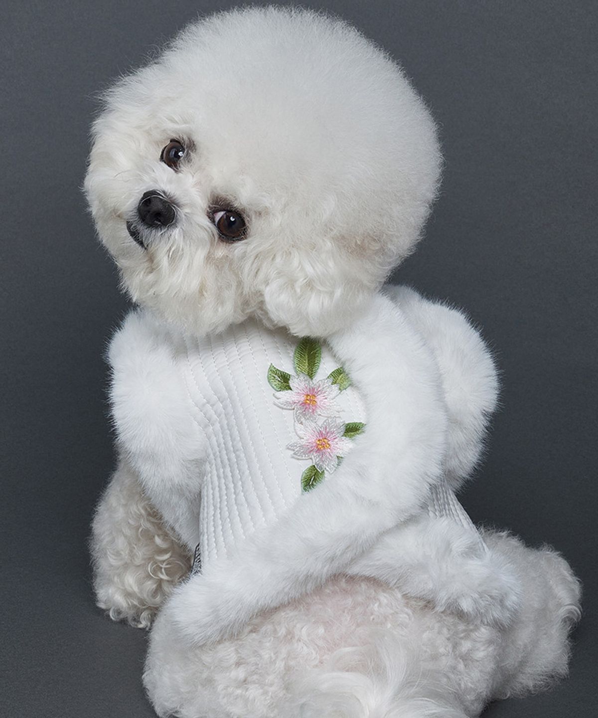 도그아이(DOGI) 강아지 한복 배자
