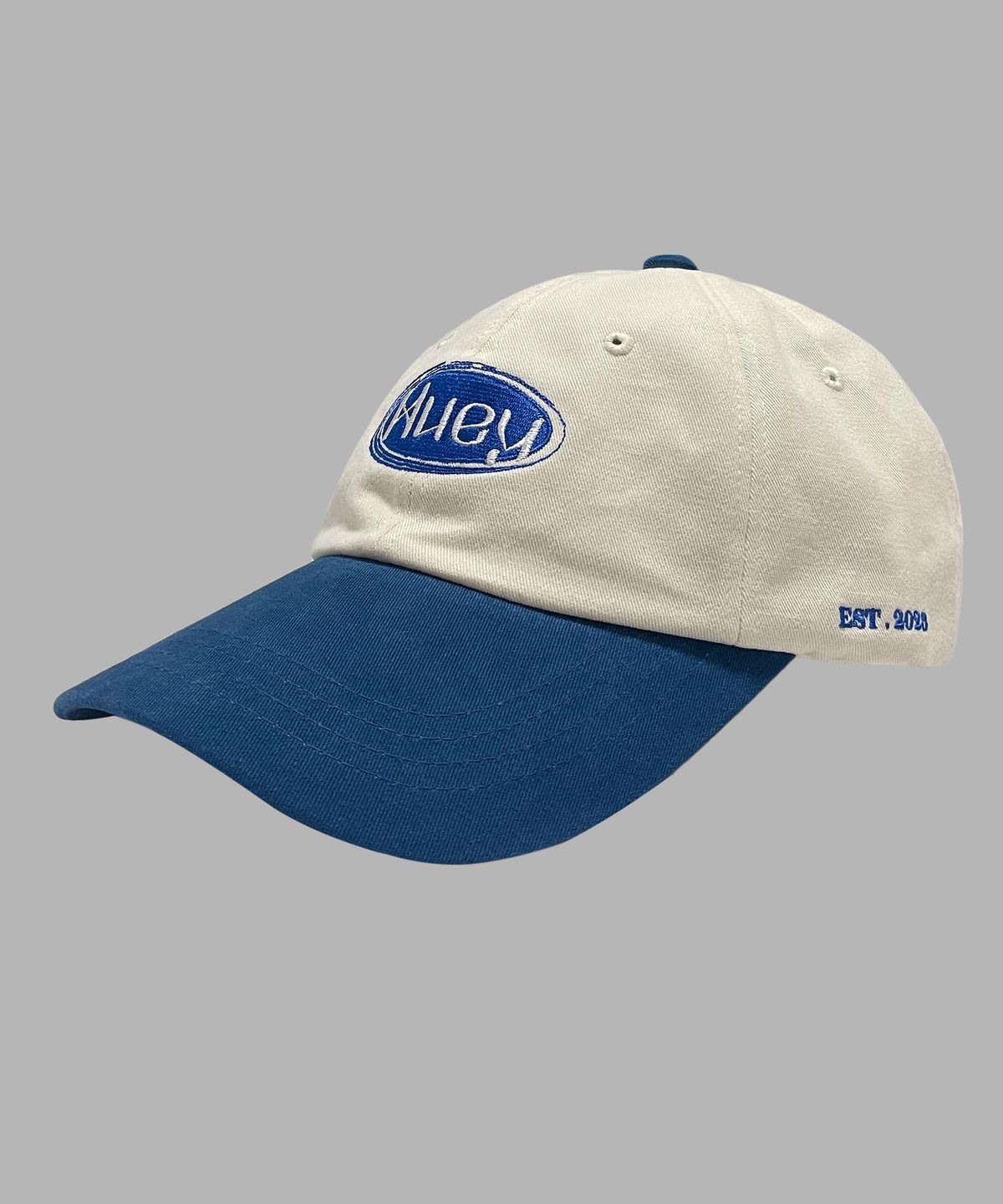 휴이(HUEY) Heritage Logo Two Tone Ball Cap [Blue]