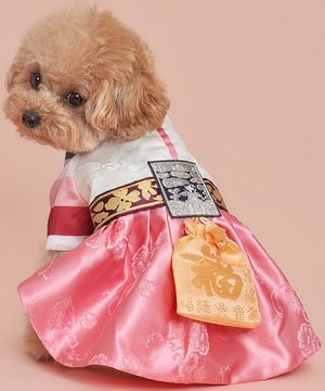 강아지 여아선경단한복 연지핑크