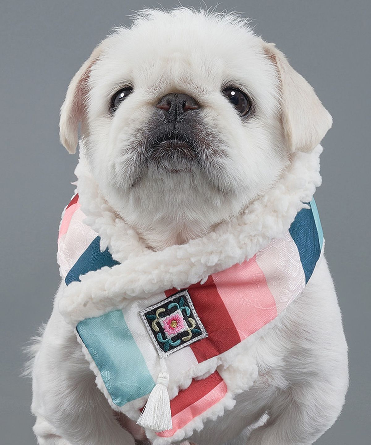 도그아이(DOGI) 반려동물 명절 한복 색동목도리 민트