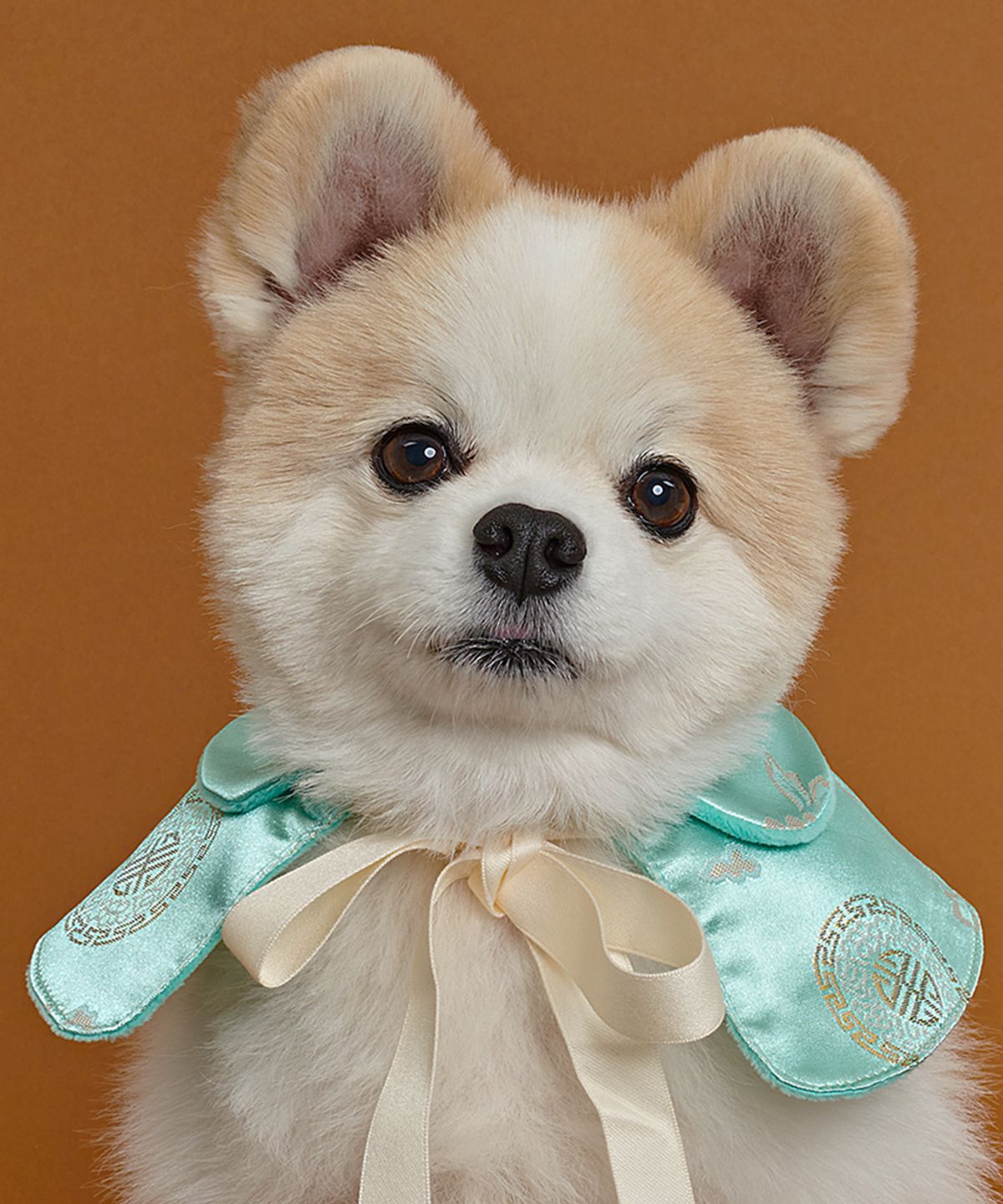 도그아이(DOGI) 강아지 리본끈 한복 케이프 민트