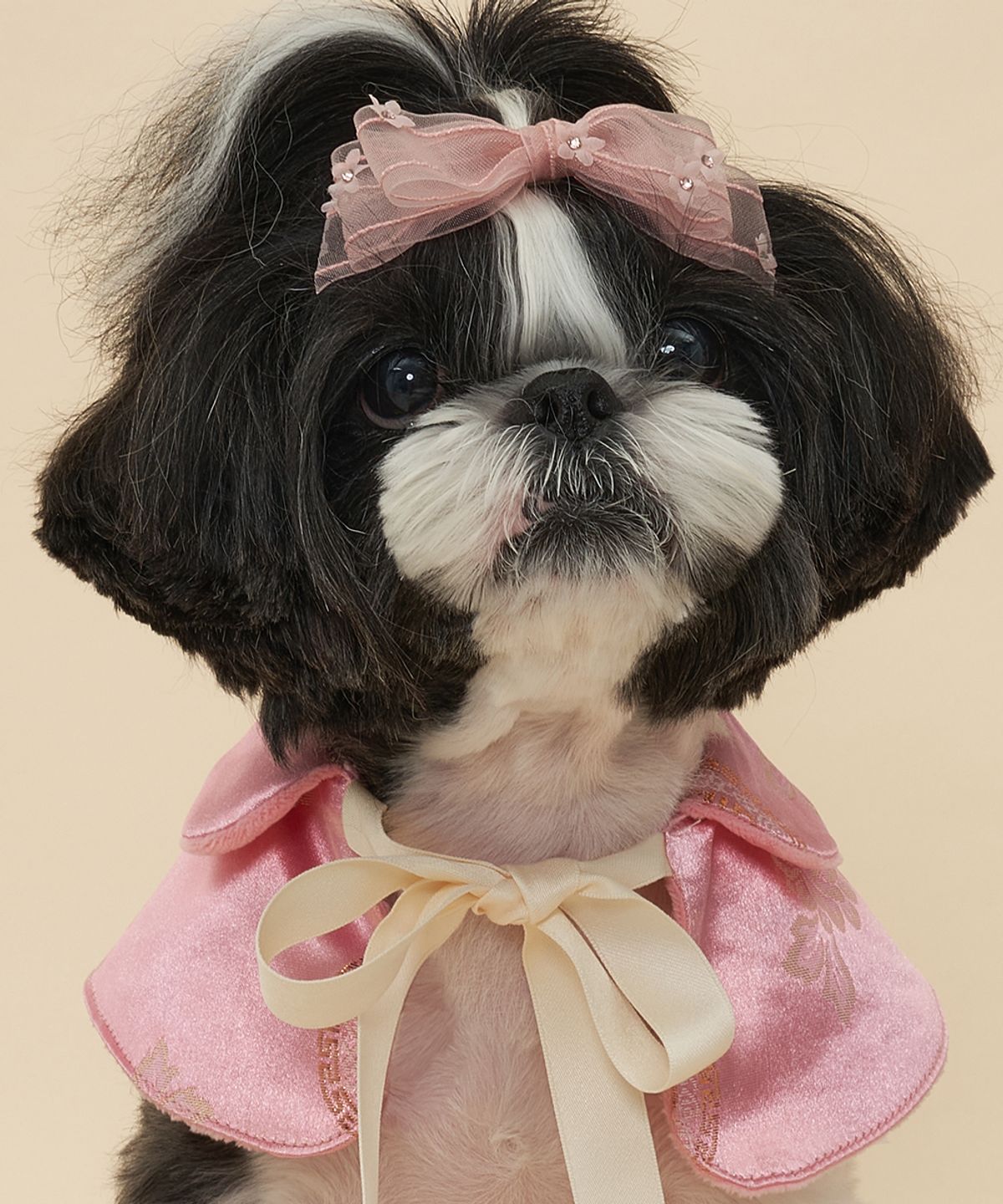 도그아이(DOGI) 강아지 리본끈 한복 케이프 핑크