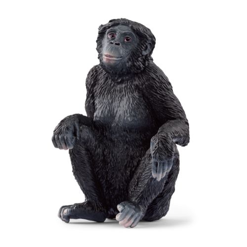 Thumbnail 0