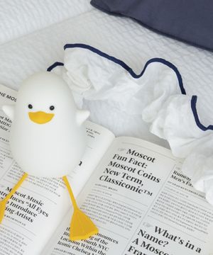 캔디라인 코드삭스 3colors