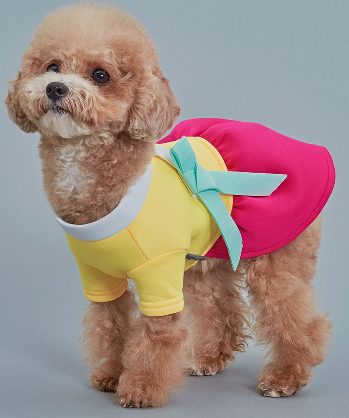도그아이(DOGI) 네오플렌 강아지 한복 치마