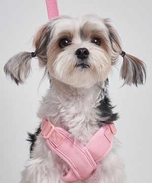 강아지 X형 하네스 가슴줄