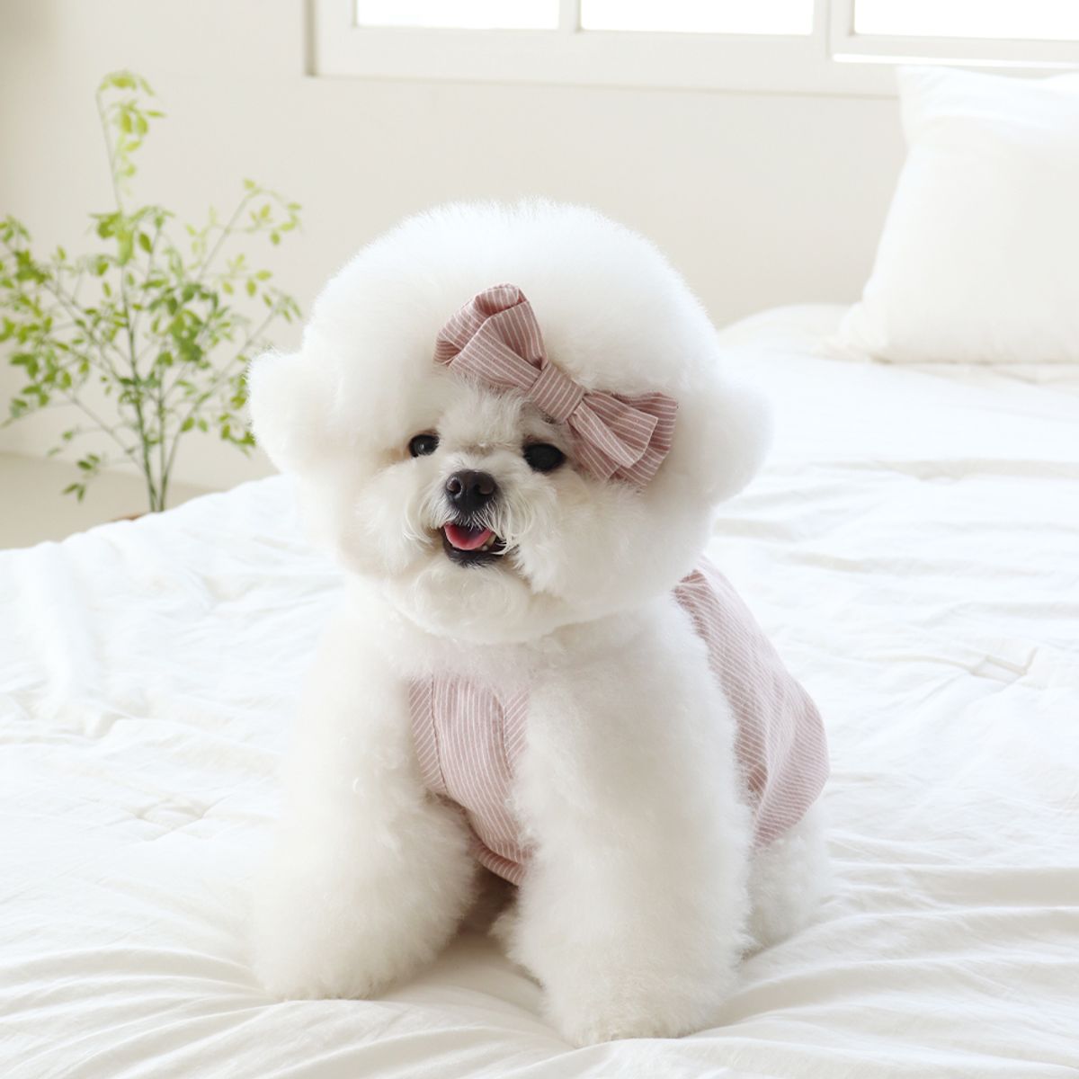 쉬오트(CHIOT) 베이비 벌룬 탑 (베이비핑크)