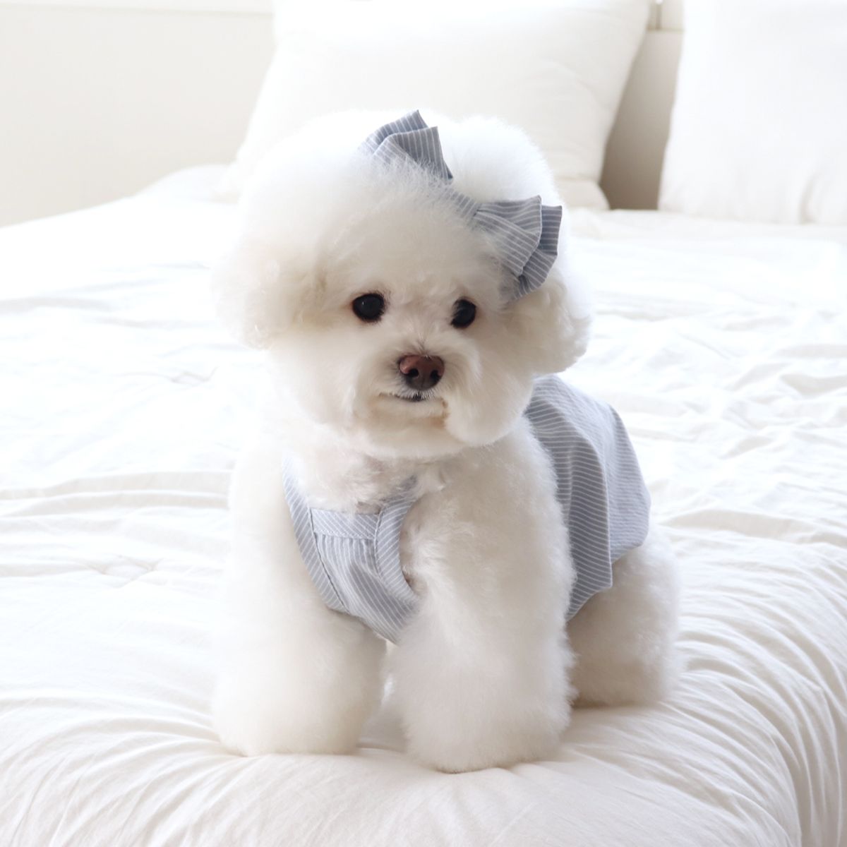 쉬오트(CHIOT) 베이비 벌룬 탑 (베이비블루)