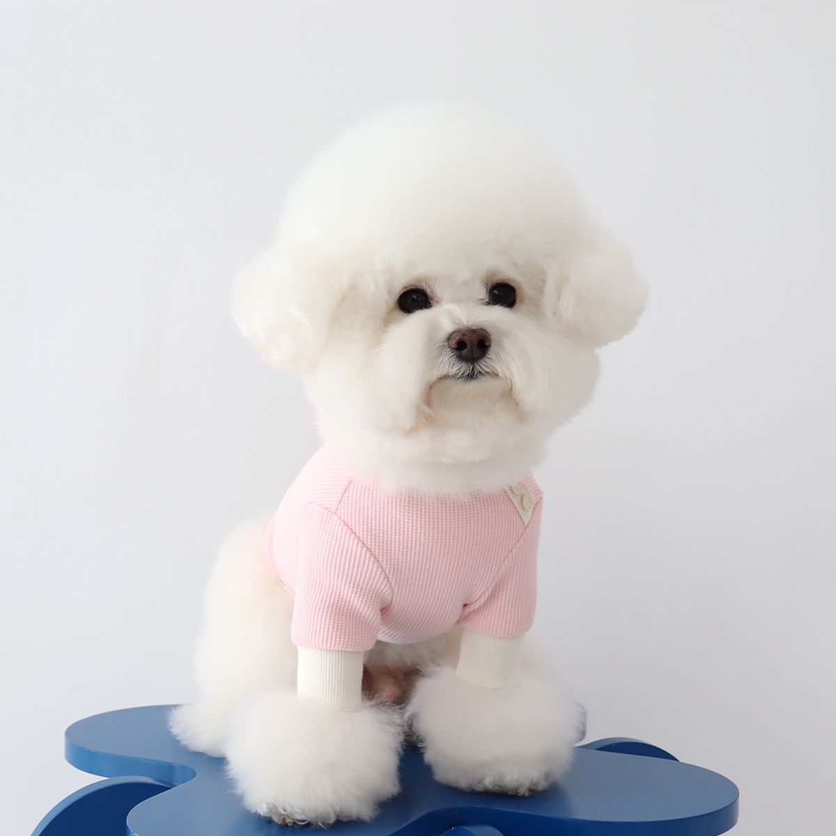 쉬오트(CHIOT) 쉬오트 샤베트 와플 티셔츠 (스트로베리)