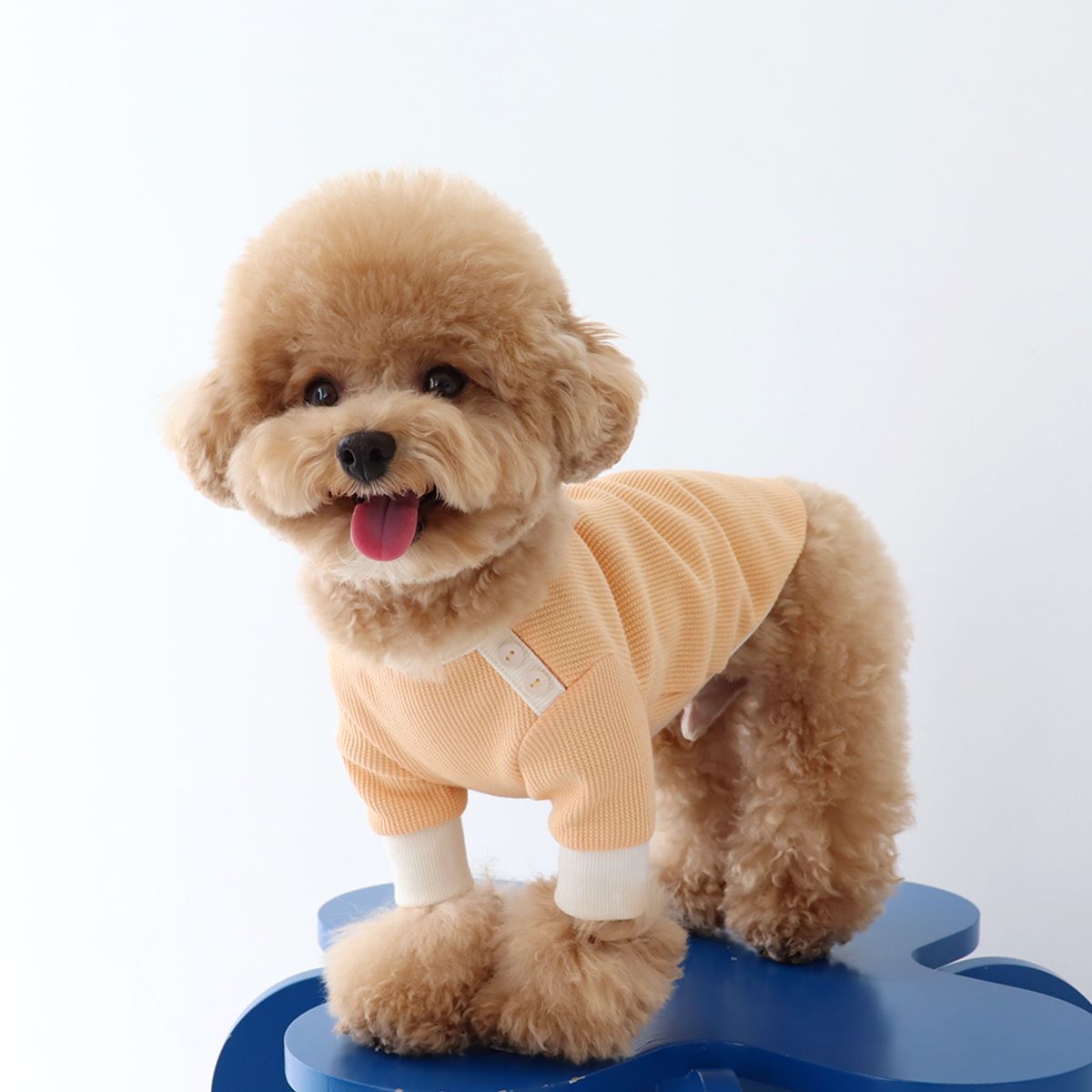 쉬오트(CHIOT) 쉬오트 샤베트 와플 티셔츠 (오렌지)