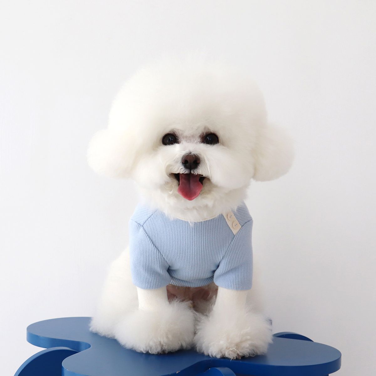 쉬오트(CHIOT) 쉬오트 샤베트 와플 티셔츠 (블루소다)