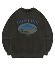Thumbnail 0