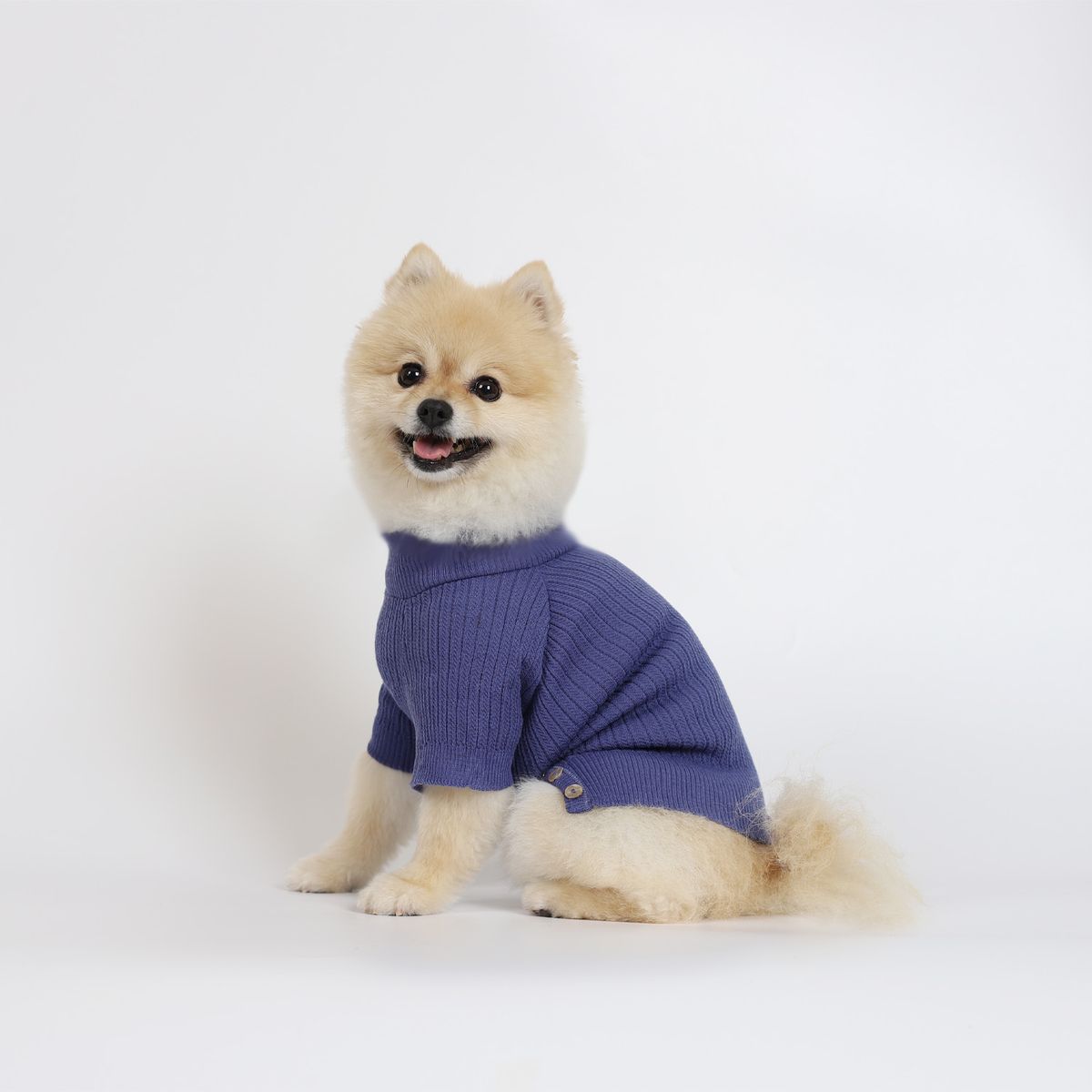 몽루(MONLOUP) 시프레