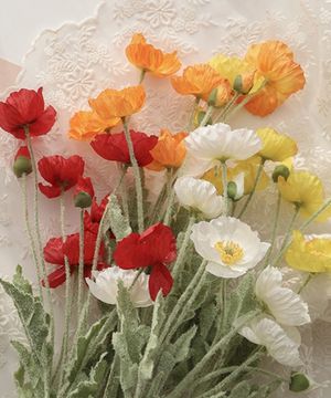 양귀비 뽀삐 조화 4colors