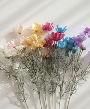 파스텔 코스코스 실크조화 6colors