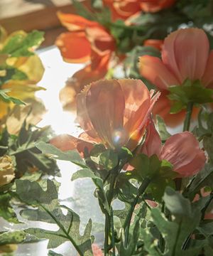 실크파스텔 코스모스 조화 4colors