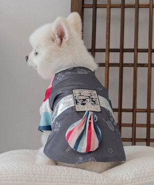 강아지 봉황단 한복 그레이